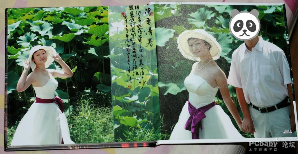 荷塘月色，哈哈，只能想想